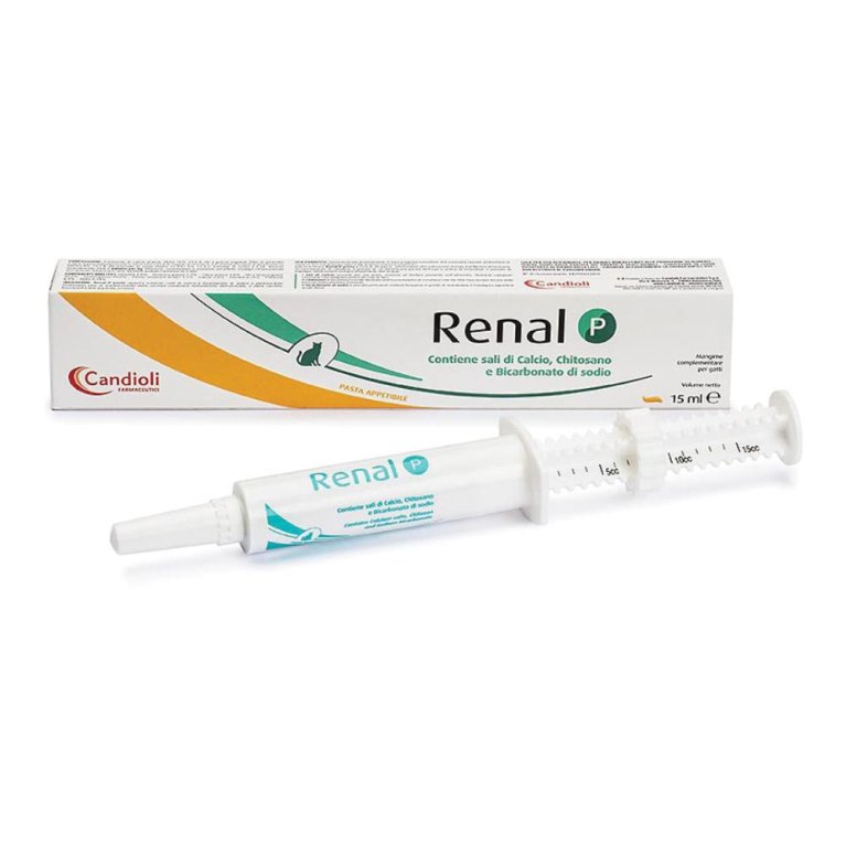 Renal P pasta per gatti in siringa da 15 ml