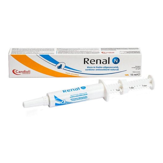 Renal N pasta 15 ml