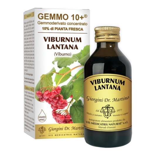 VIBURNO LIQ ANALCOLICO 100ML VIBURNO LIQ ANALCOLICO 100ML