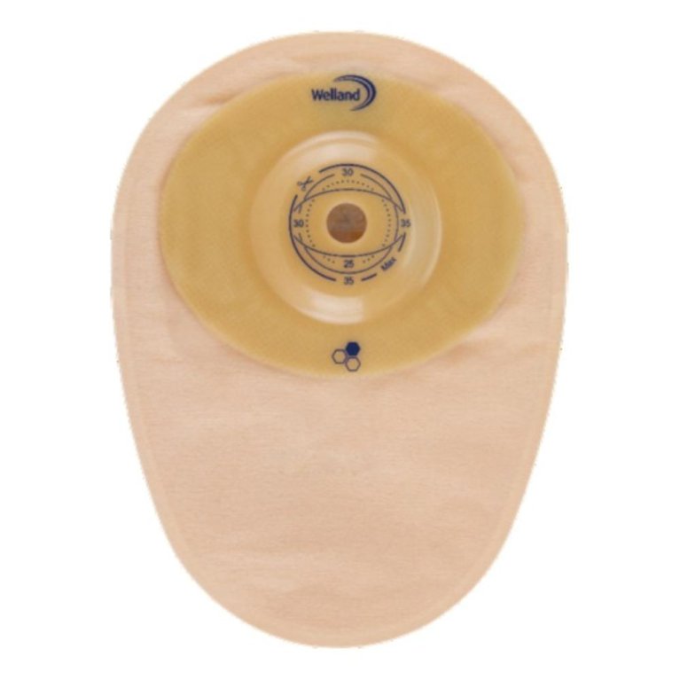 AURUM CONVEX COLO M OP R13-25