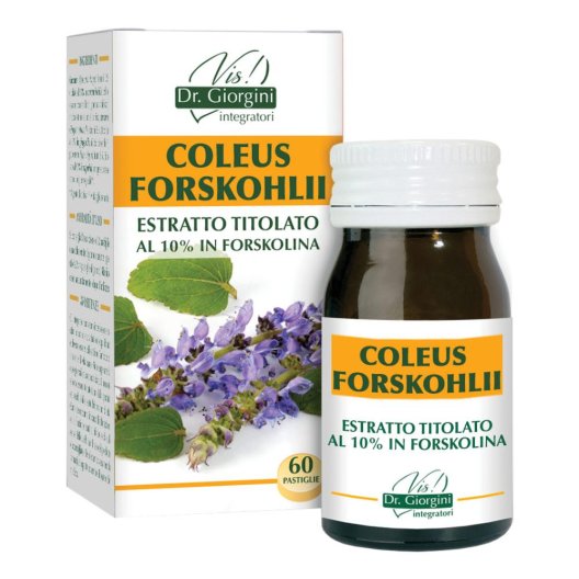 COLEUS FOR ESTR TIT 60PAST