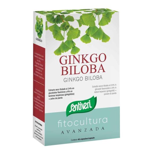 GINKGO BILOBA 40CPS GINKGO BILOBA 40CPS