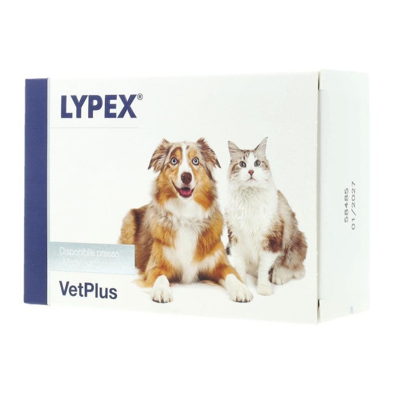 LYPEX 60CPS LYPEX 60CPS