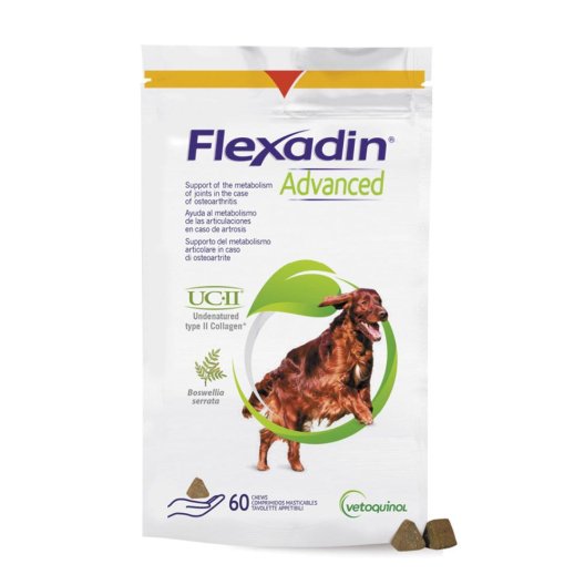 FLEXADIN ADVANCED CANE 60TAV M FLEXADIN ADVANCED CANE 60TAV M
