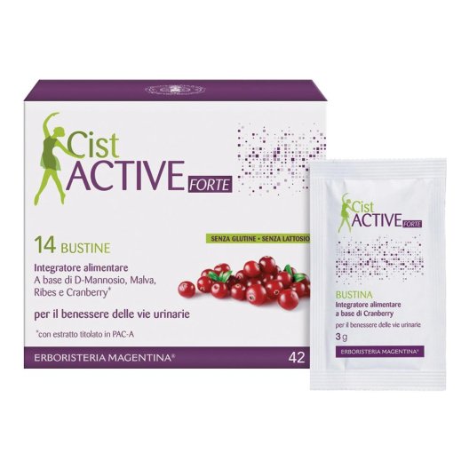 CIST ACTIVE BUSTINE 14BUST CIST ACTIVE BUSTINE 14BUST