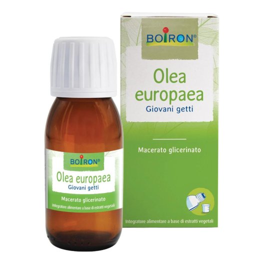 OLEA EUROPAEA MG 60ML INT