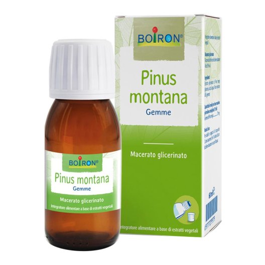 PINUS MONTANA MG 60ML INT PINUS MONTANA MG 60ML INT