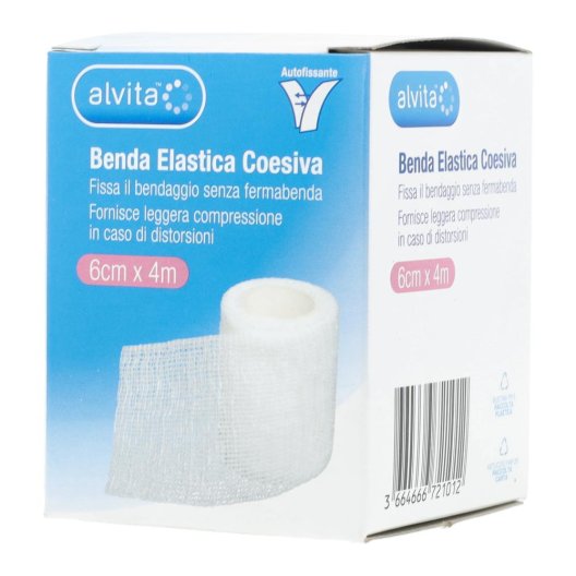 ALVITA BENDA ELASTICA COES 6X4