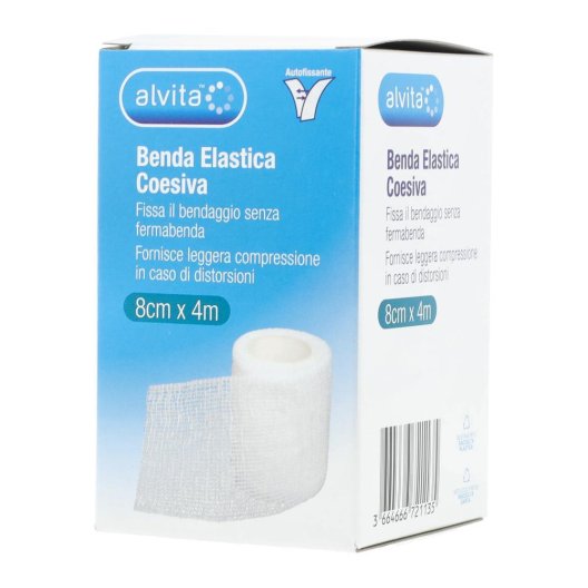 ALVITA BENDA ELASTICA COES 8X4