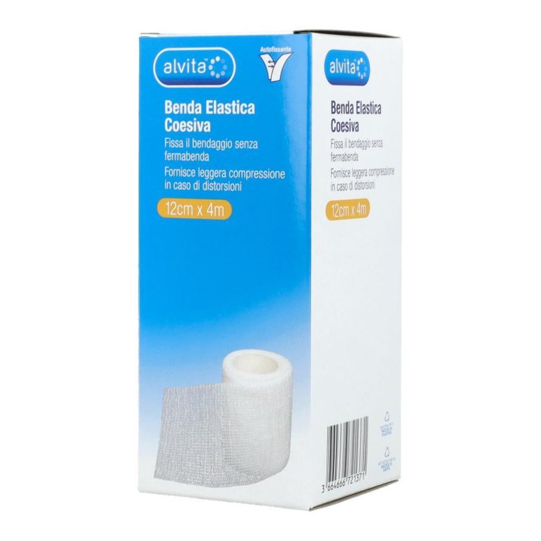 ALVITA BENDA ELASTICA COES12X4