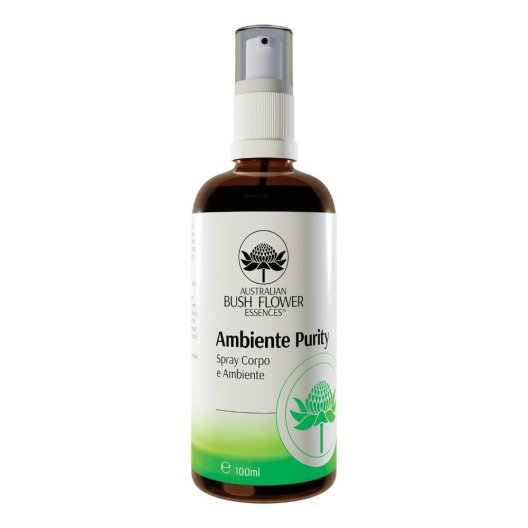 AMBIENTE PURITY SPRAY AMB/CORP AMBIENTE PURITY SPRAY AMB/CORP