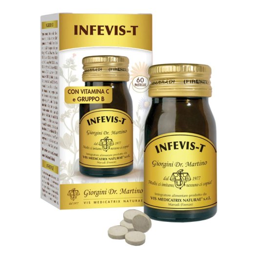 INFEVIS-T 60PAST 30G