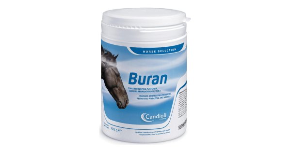Puur Magnesio Per Cavalli – 500g – Integratore Alimentare Per Rilassamento Muscolare - 4
