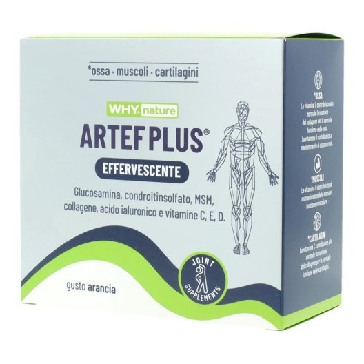 WHYNATURE ARTEF PLUS 24BUST