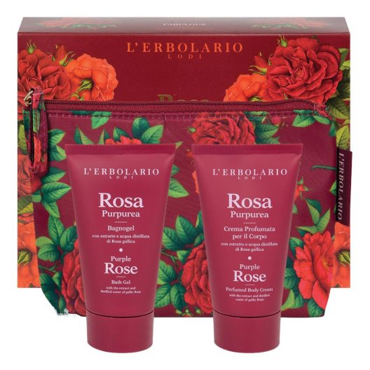 ROSA PURPUREA BEAUTY FASCINOSA