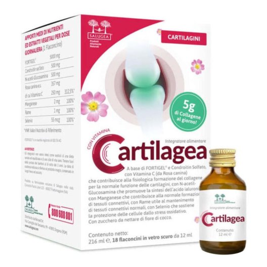 CARTILAGEA SALUGEA 18FL CARTILAGEA SALUGEA 18FL